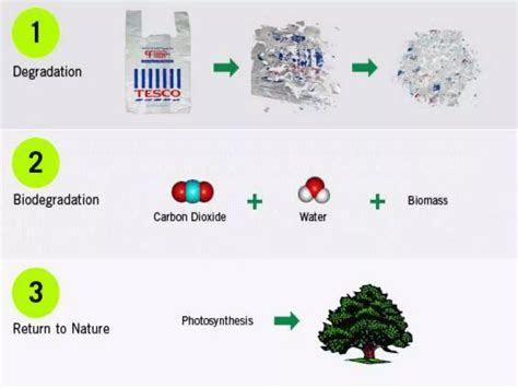 Image result for Biodegradable Polymers Flowchart