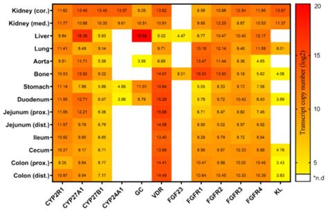 Metabolites | Special Issue : Effect of Diet on Vitamin D Metabolism ...