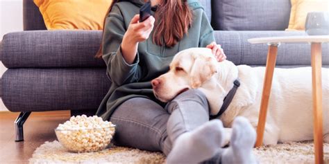 What Can Dogs Eat Article Collection | Purina US