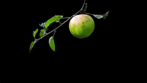 Inside Computer Wllpaper OLED 的图像结果