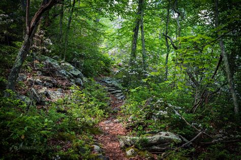 Remote USFS trail in the West Virginia Highlands, USA [OC] [2160x1440 ...