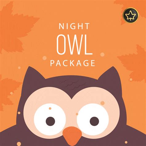 Night Owl | Gurugram – MaplePods