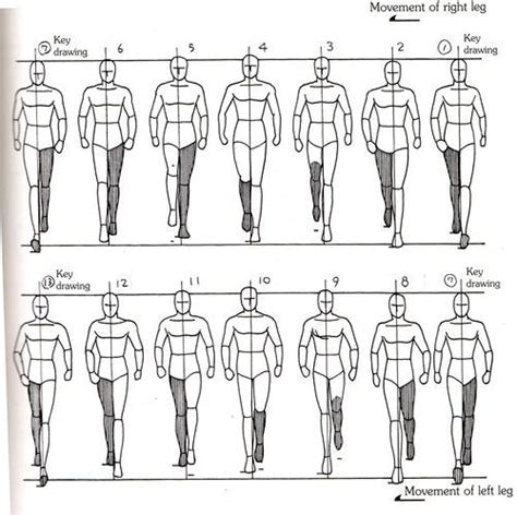 Image result for Walk Animation Reference