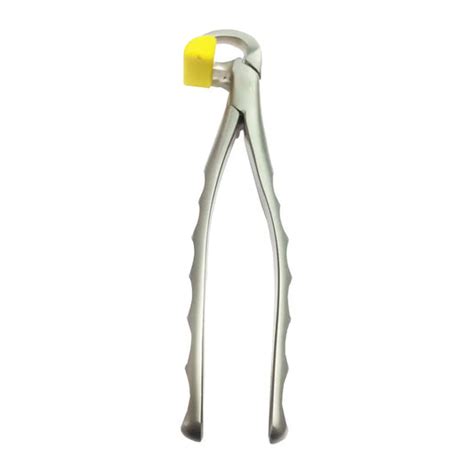 Extraction Instruments – Oralkart