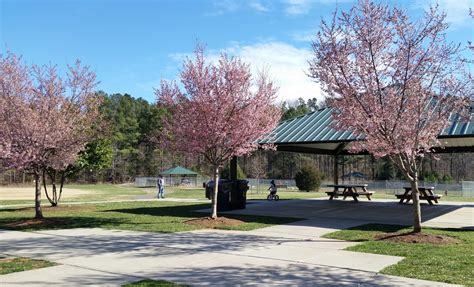 Reserve Gold Park Shelter | Town of Hillsborough, North Carolina