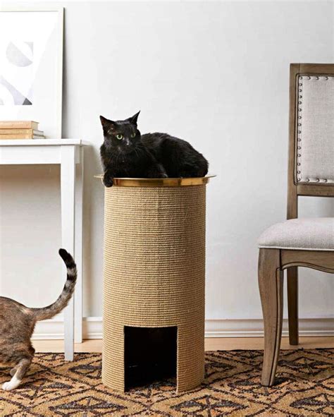 25 DIY Cat Scratching Post Plans - Blitsy