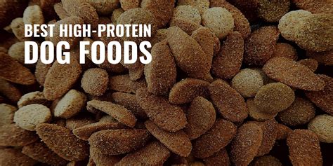 Top 10 High Protein Dog Foods at Andrew Schaff blog
