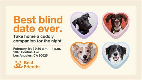 LA - Doggy Date Night, Best Friends Animal Society, Culver City ...