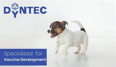 AnimealCANGLOB-D FORTE INJECTION - Upto 15% Off - Animeal