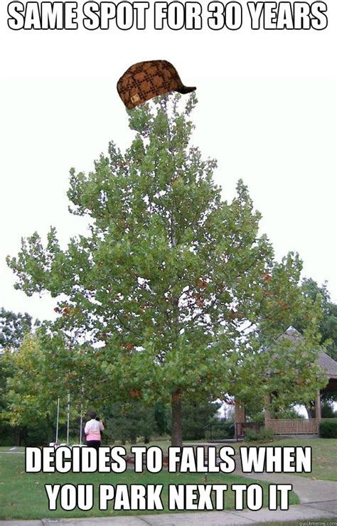 Image result for Tree Sentinel Meme
