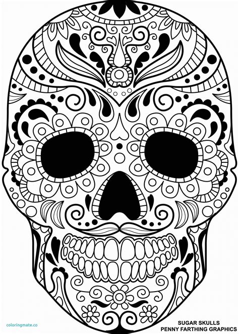 Simple Sugar Skull Drawing at PaintingValley.com | Explore collection ...