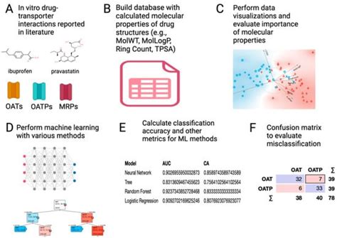Distinguishing Molecular Properties of OAT, OATP, and MRP Drug ...