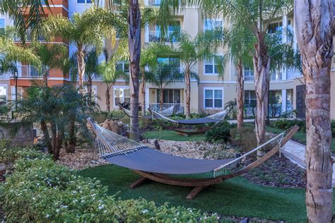 RIZE at Winter Springs - Photo Gallery