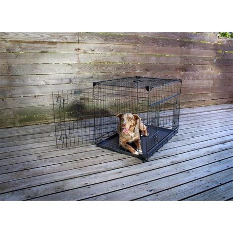 Buy 36 in. Sliding Double Door Dog Crate with Patented Corner ...