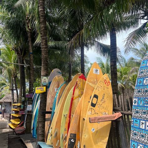THE DRIFTWOOD SURFER, EL PAREDON, GUATEMALA - Hostel Reviews, Photos ...