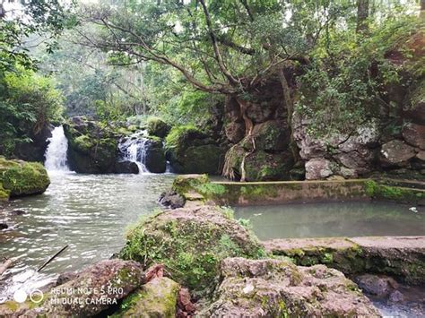 THE BEST Restaurants in Jharkhand (Updated January 2026)