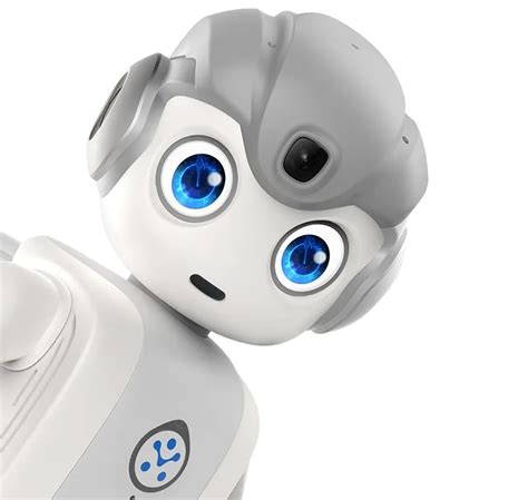 Alpha Mini Robot 的图像结果