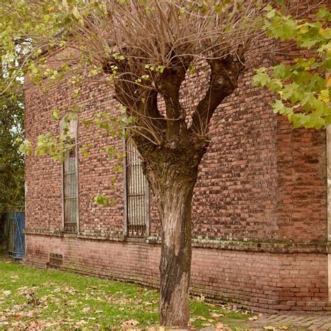 CASAS DON SEGUNDO (Villa Lia) - Lodging Reviews, Photos, Rate ...