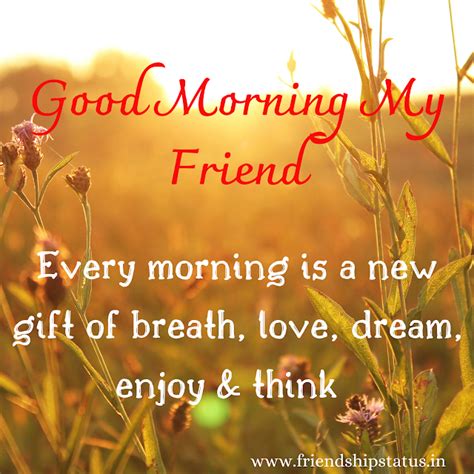 [Best] 50 Good Morning Wishes for Friends