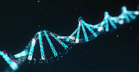 Image result for DNA Formation Process