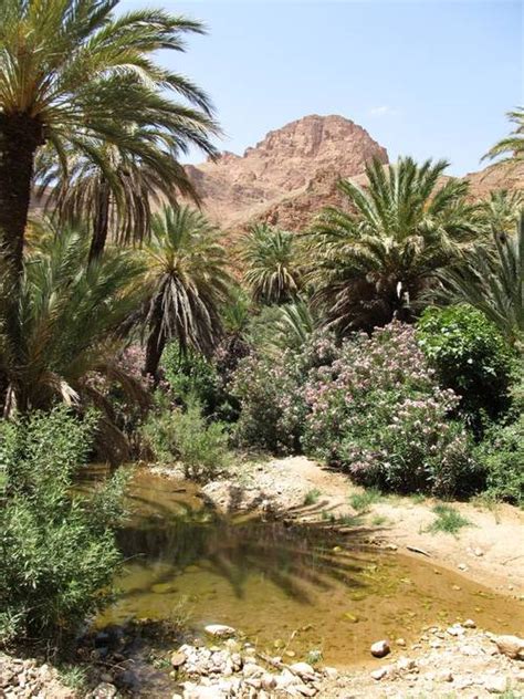 Hotel Atlantic Palace Agadir in Agadir