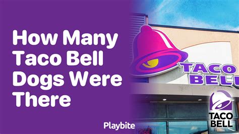 How Many Taco Bell Dogs Were There? - Playbite