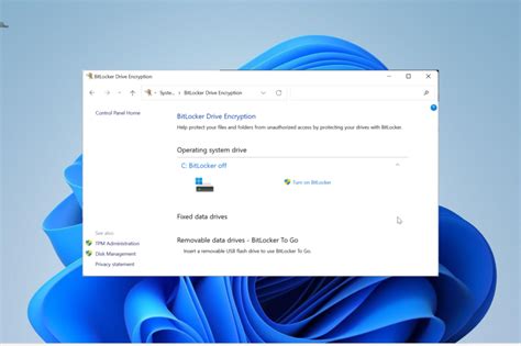 Image result for Windows 11 Pro Encryption