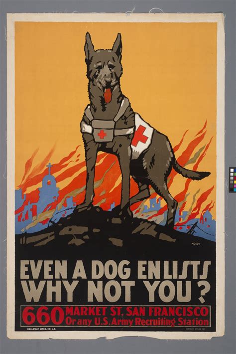Pitbull Ww1 Poster - Modern Poster Layouts