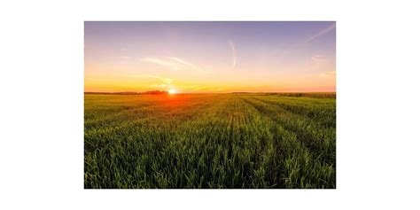 Farmland Preservation Meeting, Bestfood Cafeteria, Siler City, 14 May ...