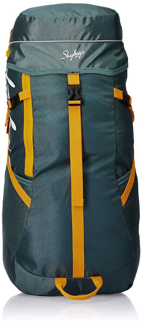 Skybags Sonic 45 Ltrs Green Rucksack (Sonic) (Extra Large Size ...