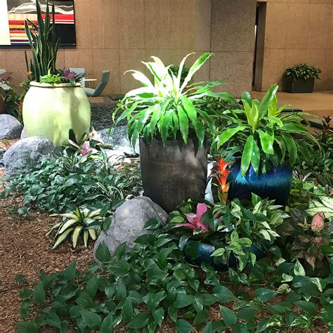 Breathe Easy! 4 Ways Green Plants Can Help - Tropex
