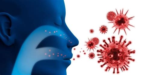 Japan sees surge in mycoplasma pneumonia cases - IBTimes India