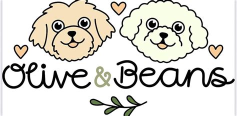 Walk and Talk with Olive and Beans, Mote Park, Maidstone, 31 May 2025 ...