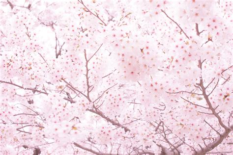 Image result for String Pattern Vector BW