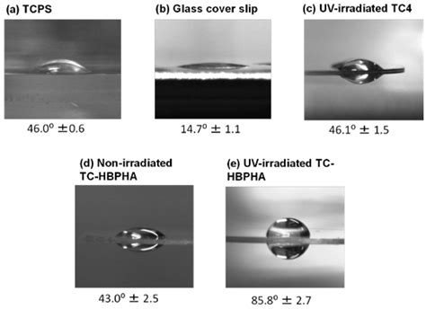Photocrosslinkable Trehalose Derivatives Carrying Mesogenic Groups ...