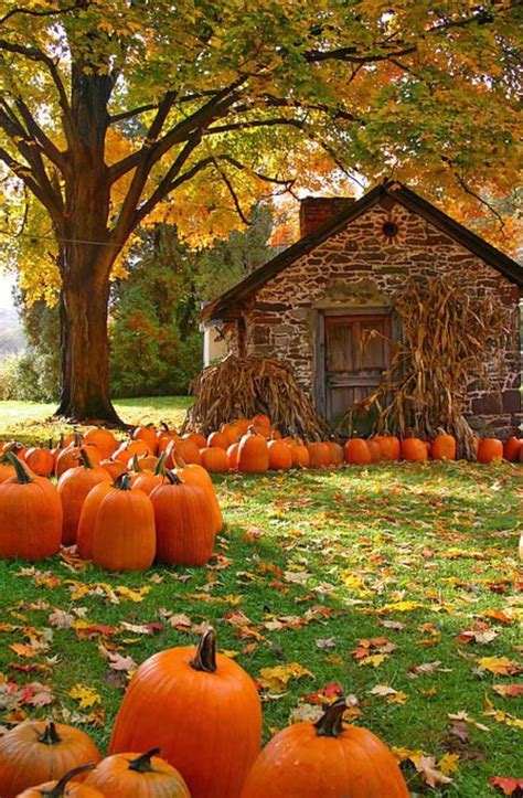 Loading... | Beautiful fall, Autumn inspiration, Fall pictures