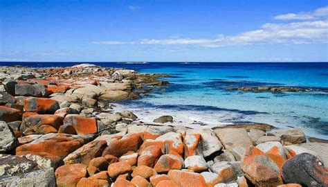 Tasmania in March 2026 : Best Time, Top Places & Things to Do