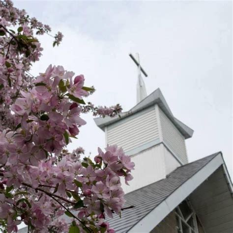 More Than A Bake Sale Bazaar 2024, Our Lady of the Miraculous Medal ...