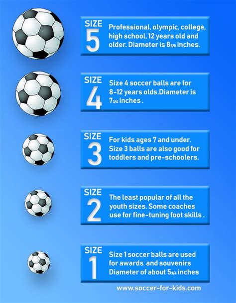 Soccer Ball Sizes Chart - Infographic Chart Design