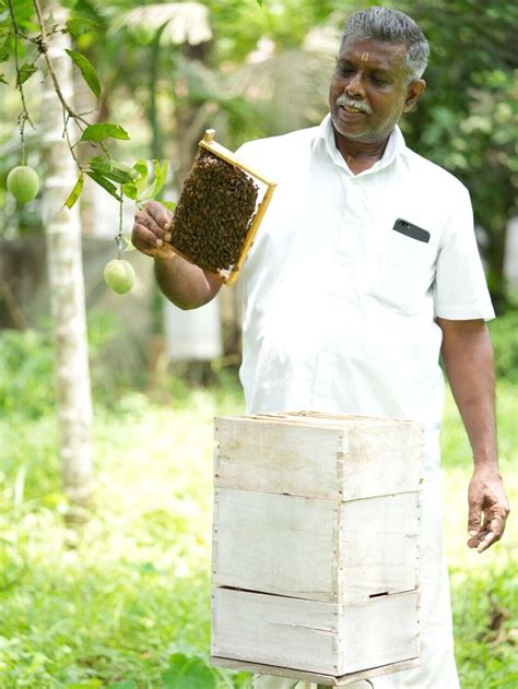 World Bee Day: From Ending Poverty to Earning World Record, Indian ...