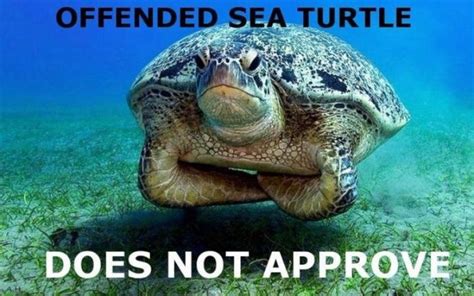 11 Things You Didn’t Know About The History Of Condoms