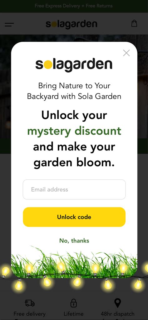 Opt-In Email Campaign 的图像结果