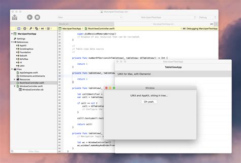 Image result for Comment Editor UIKit