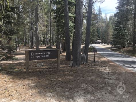 Tamarack Flat Campground, Yosemite National Park, CA - Latest Reviews ...