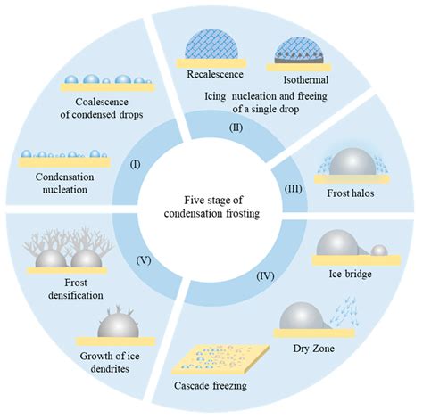 Mechanism of Condensation Frosting | Encyclopedia MDPI