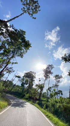 7 Beautiful Road Trips In India For Weekends