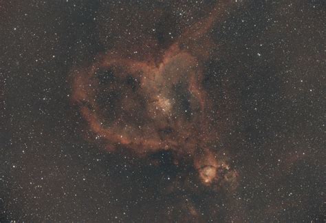 Chat Jyotishi (CJ) - Online Astrology Consultation Nepal