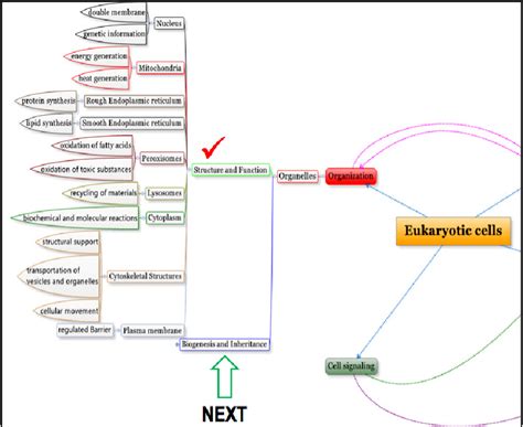 Cell Structure Concept Map 的图像结果