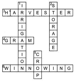 NCERT Solutions for Class 8 Science Chapter 1 Crop Production and ...