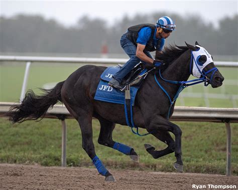 Shisospicy on Standby, Bentornato on Track for Dubai - BloodHorse